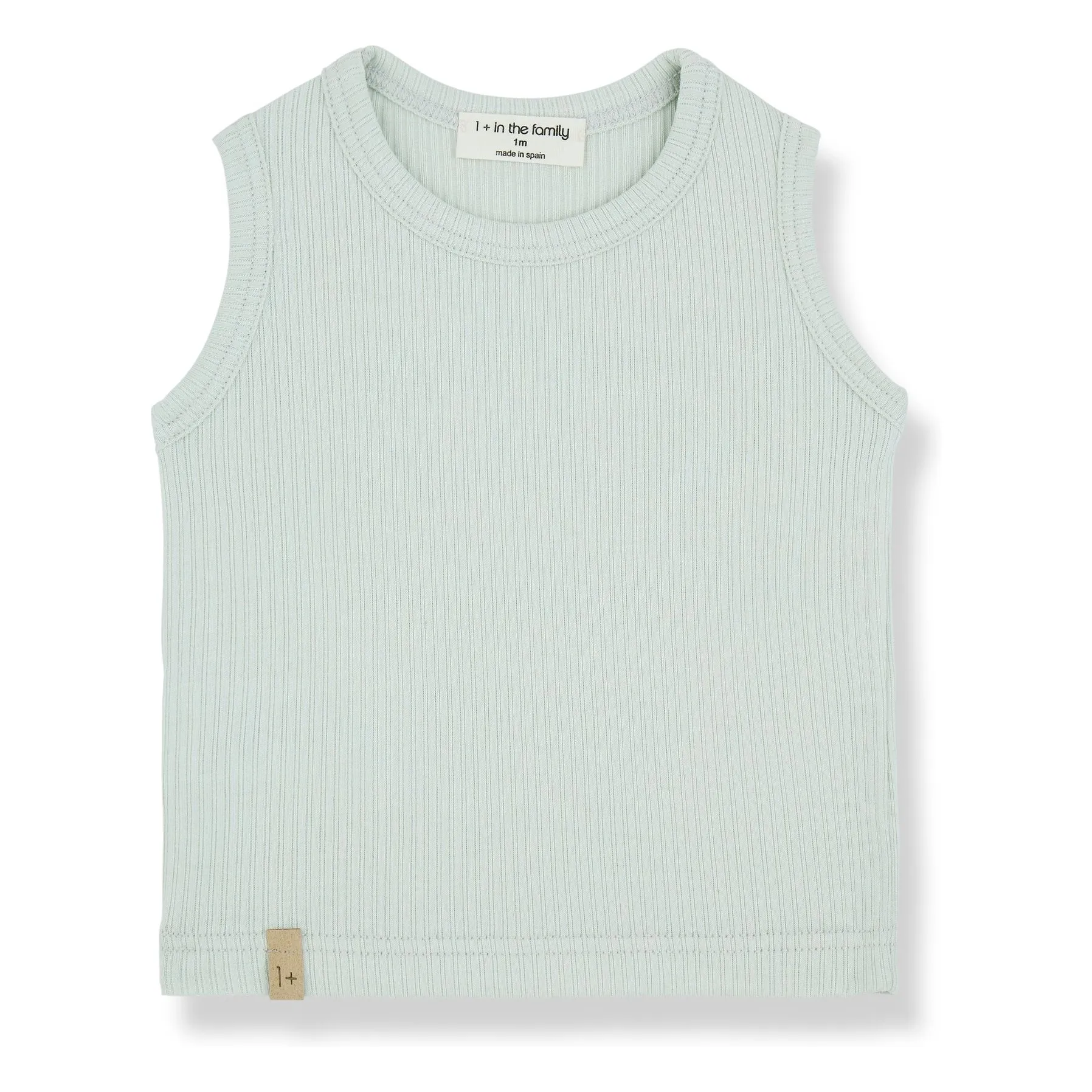 1+ In The Family Celadon Boi Tank Top