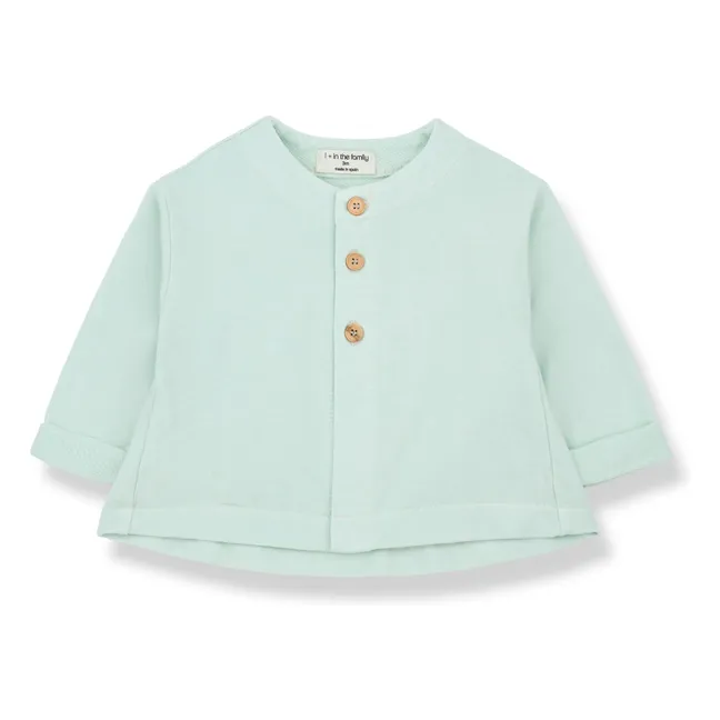 Itziar fleece vest | Green water