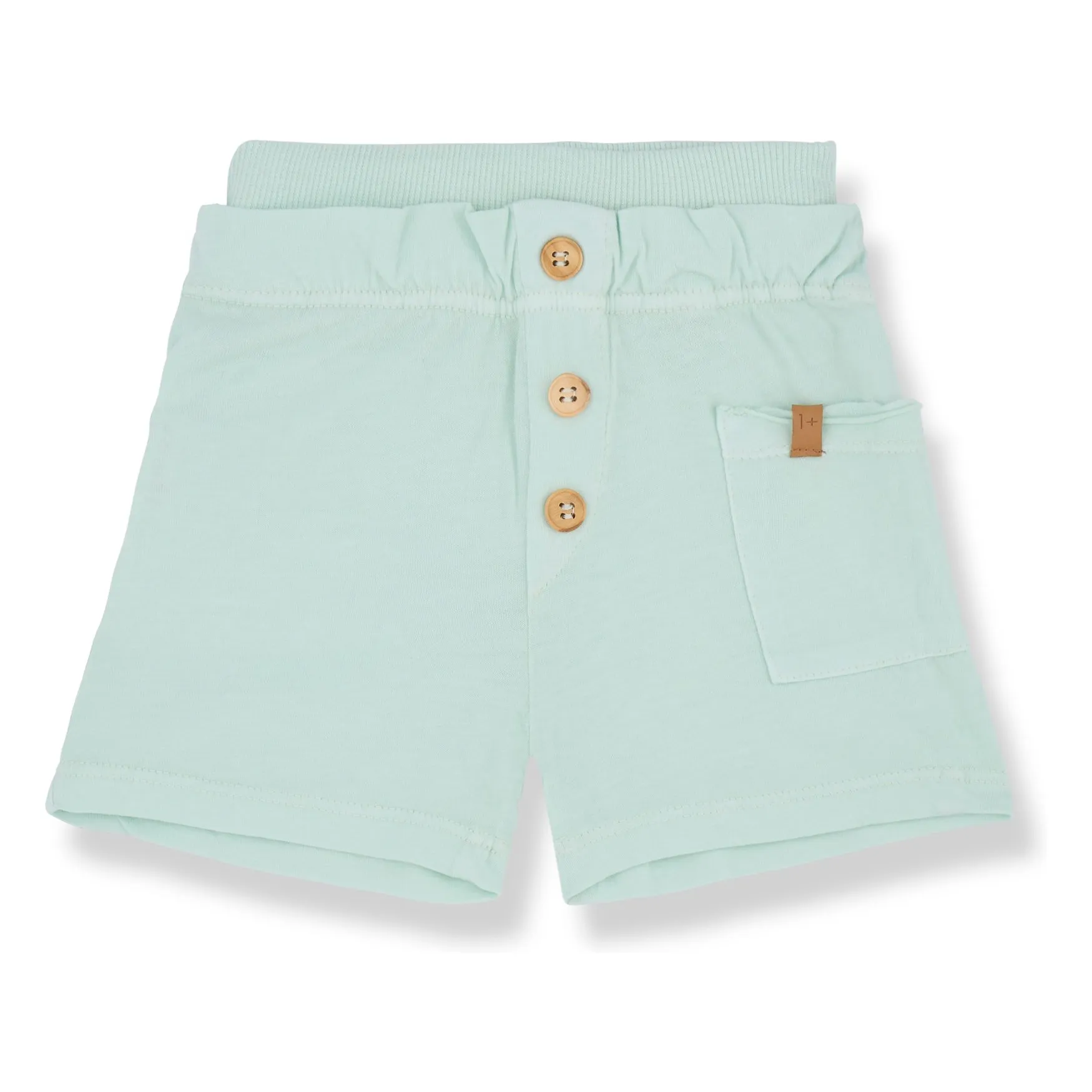 1+ In The Family Green Water Short Gael