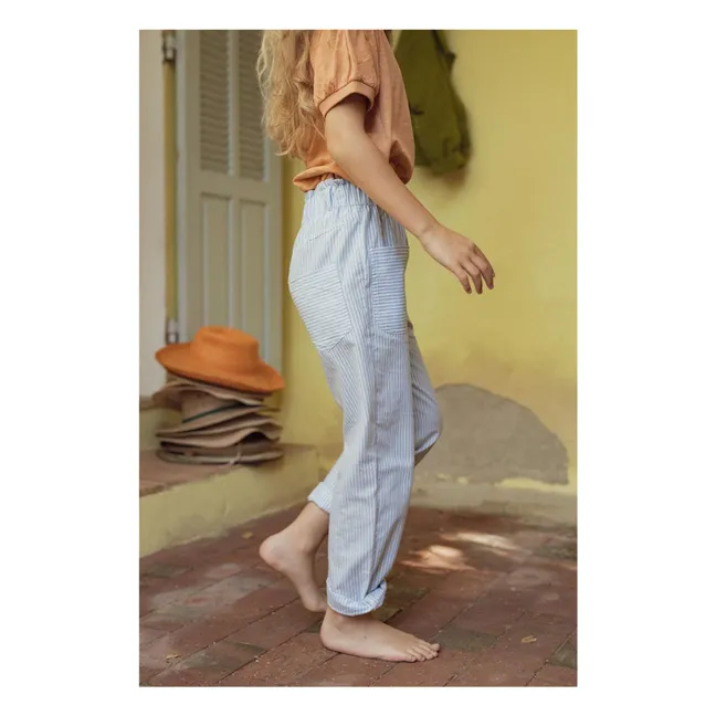 Plum pants | Blue