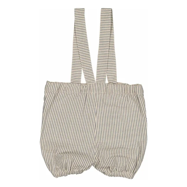 Bloomer Raya Oliva | Azul Gris