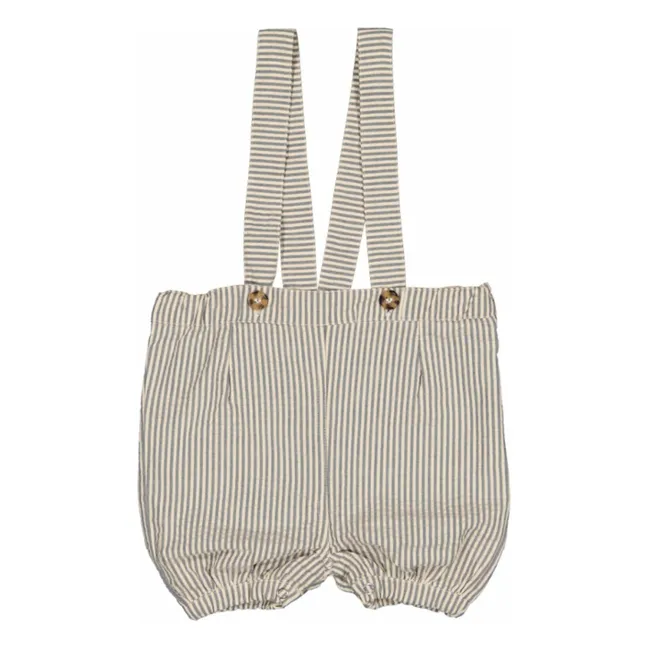 Bloomer Raya Oliva | Azul Gris
