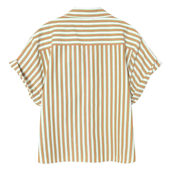 Camicia Drake a righe | Verde