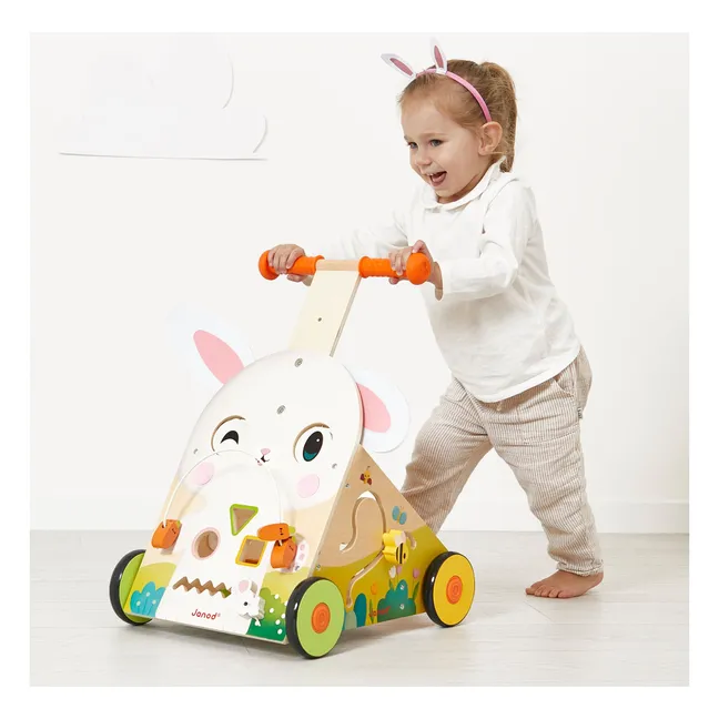 Carrito para conejos