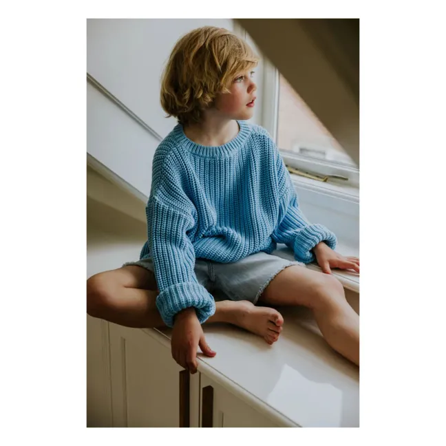 Maglione a maglia grossa in cotone biologico | Azzurro