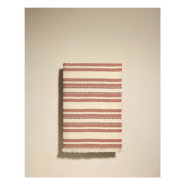 Lancio di Arroz | Terracotta