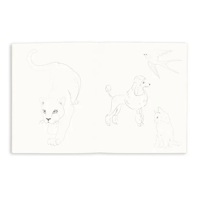 Carnet de coloriage et ses 6 crayons de couleurs | Sauge
