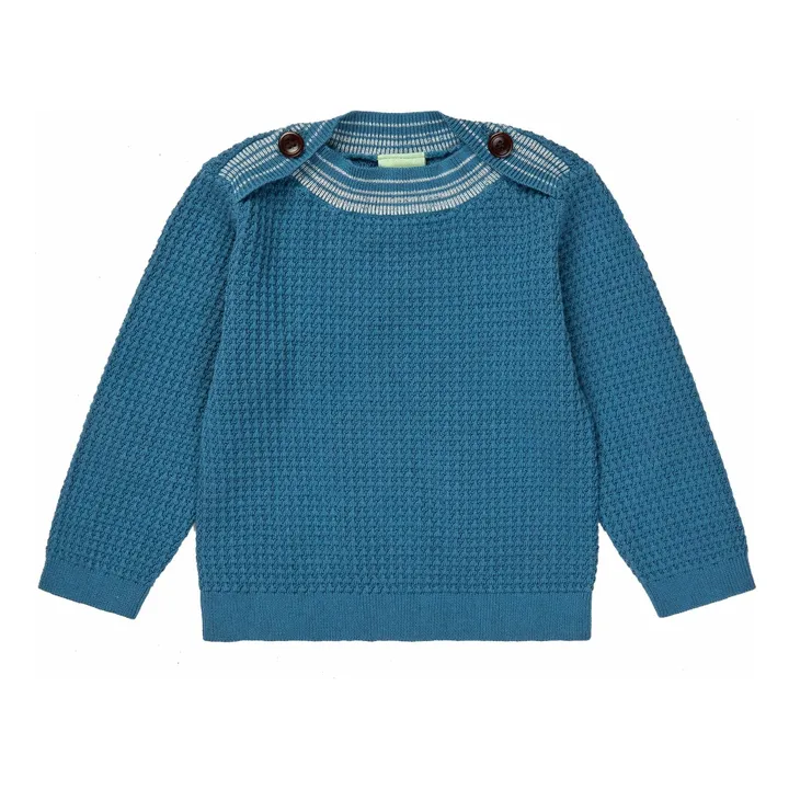 Pull Structure Maille Fine Coton Bio | Bleu- Image produit n°0