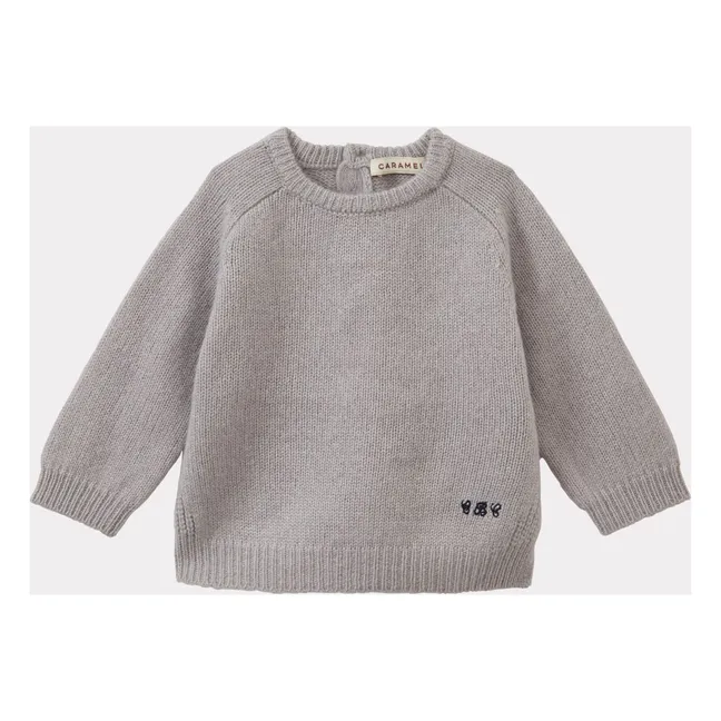 Jersey Cashemire de hinojo | Gris