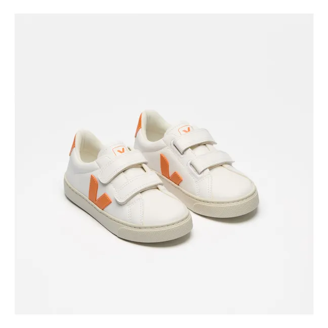 Baskets Scratchs Esplar | Orange