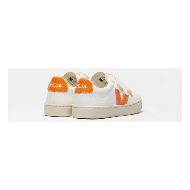 Baskets Scratchs Esplar | Orange