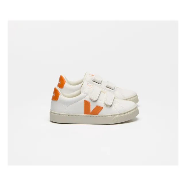 Baskets Scratchs Esplar | Orange