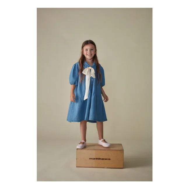 Denim-Kleid  | Blau