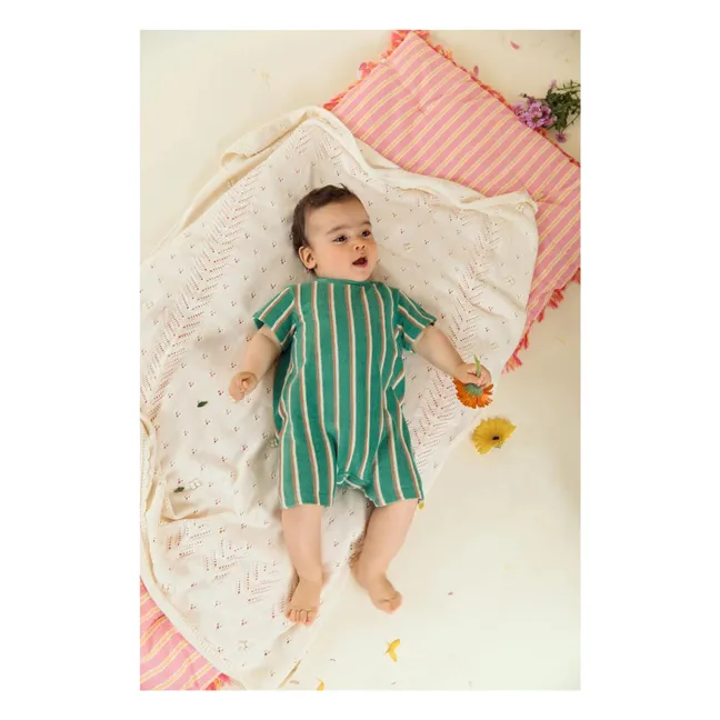 Combishort Bogoma Eponge Bio | Vert sapin