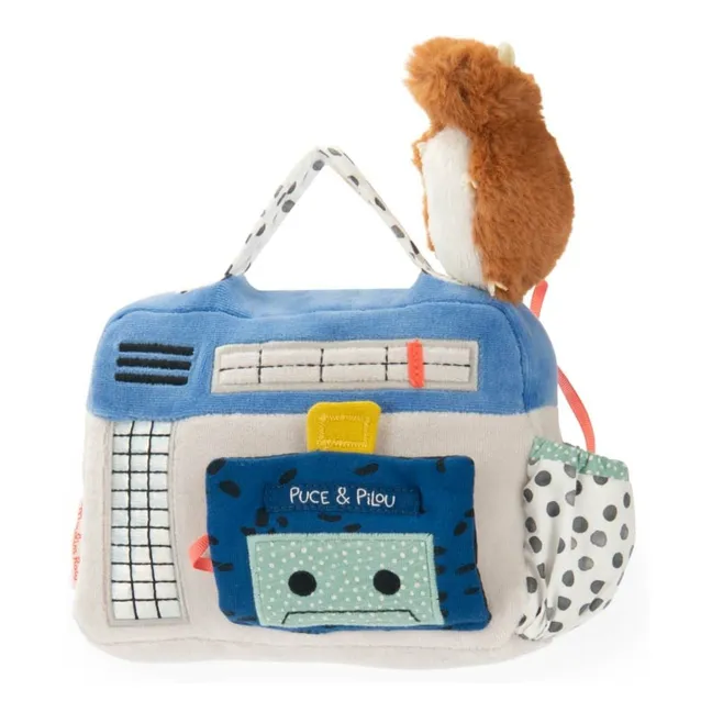 Musical cassette radio