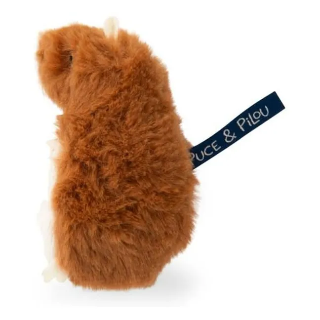 Caja de dientes de leche para hámster