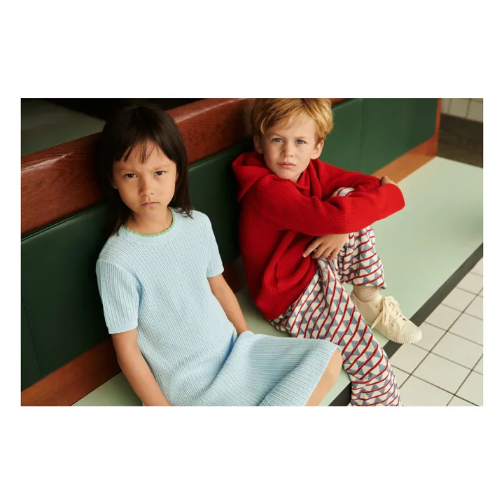 Organic Cotton Fine Knit Dress | Light blue- Product image n°3