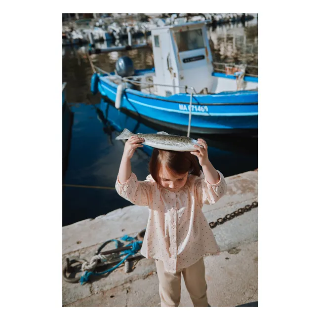 Bluse Pecan Voile Bio-Baumwolle | Puderrosa