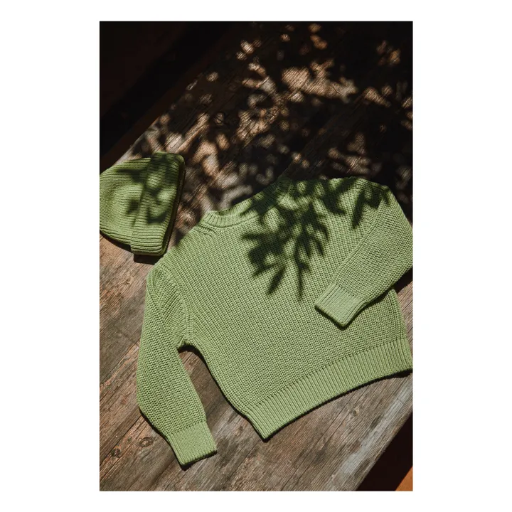 Pull Pissenlit Coton Bio | Vert- Image produit n°5