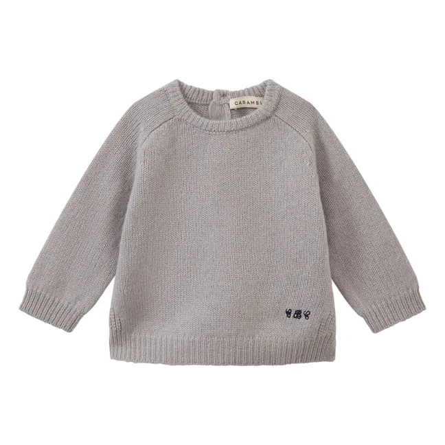 Jersey Cashemire de hinojo | Gris