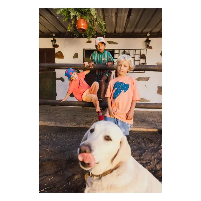 Doggie T-shirt | Orange