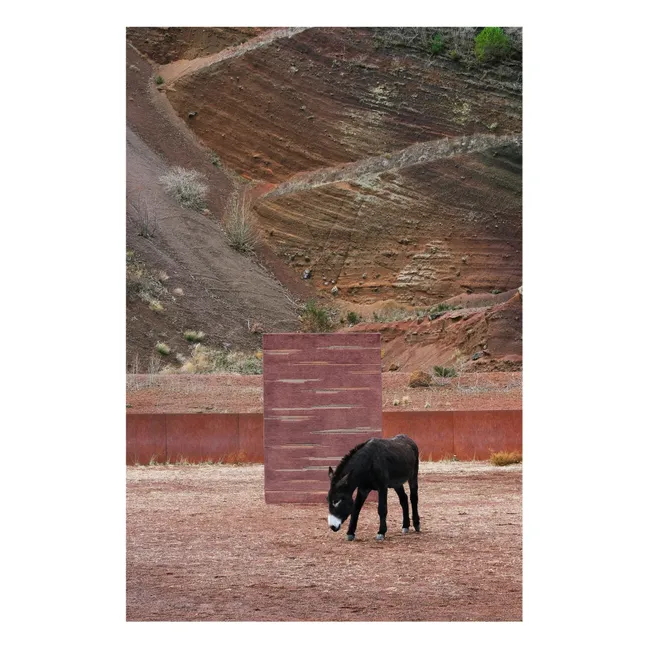 Tapis en laine Colorado  | Argile