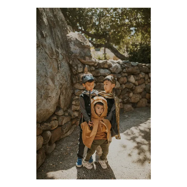 Ritterkostüm mit Umhang und Krone | Or