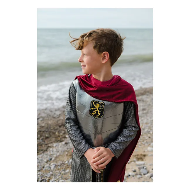 Kostüm eines Ritters mit seinem Umhang | Silber