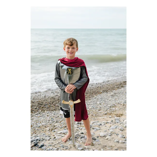 Kostüm eines Ritters mit seinem Umhang | Silber