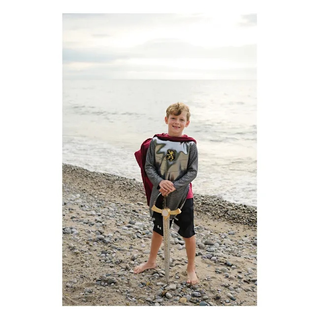 Kostüm eines Ritters mit seinem Umhang | Silber