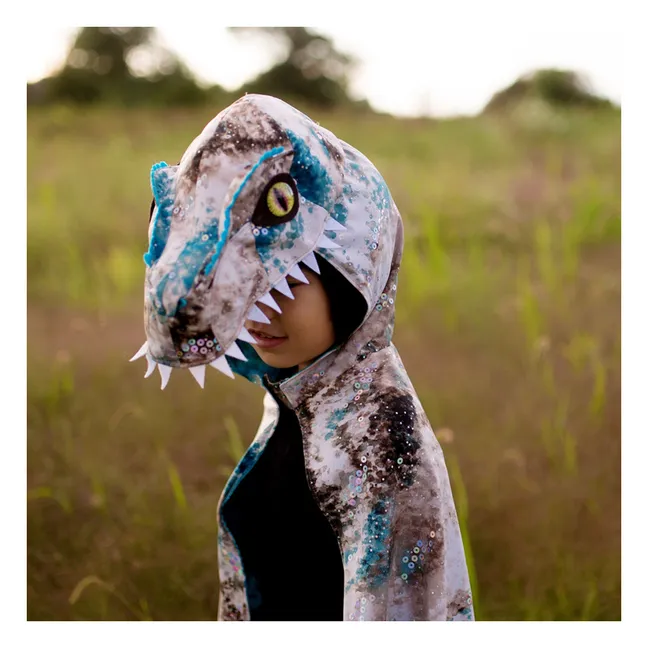 Raptor del Capo | Grigio
