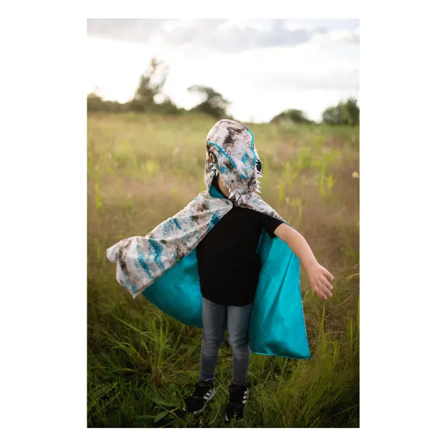 Cape Raptor | Grey