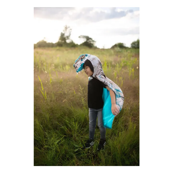 Cape Raptor | Gris- Image produit n°2