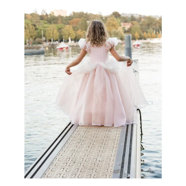 Antique Princess Disguise | Pale Pink