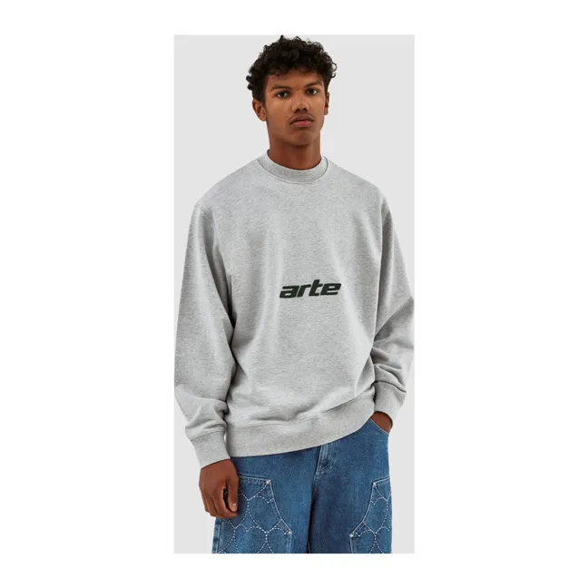 Arte Logo sweatshirt | Grey