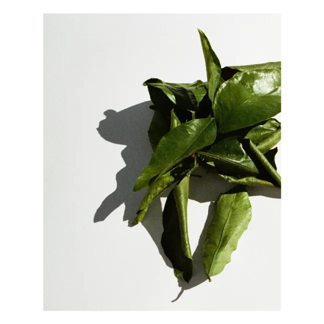 Candela profumata al pompelmo - 260g | Senza colore