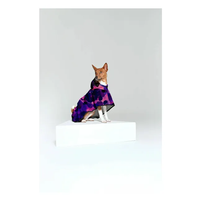 Wasserdichter Hundeumhang City Lights | Violett