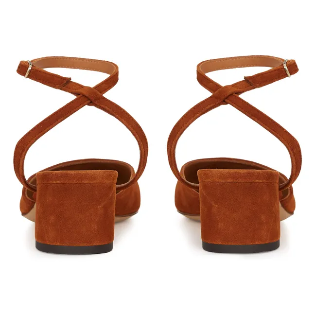 Neonati n°429 Svezia | Nocciola