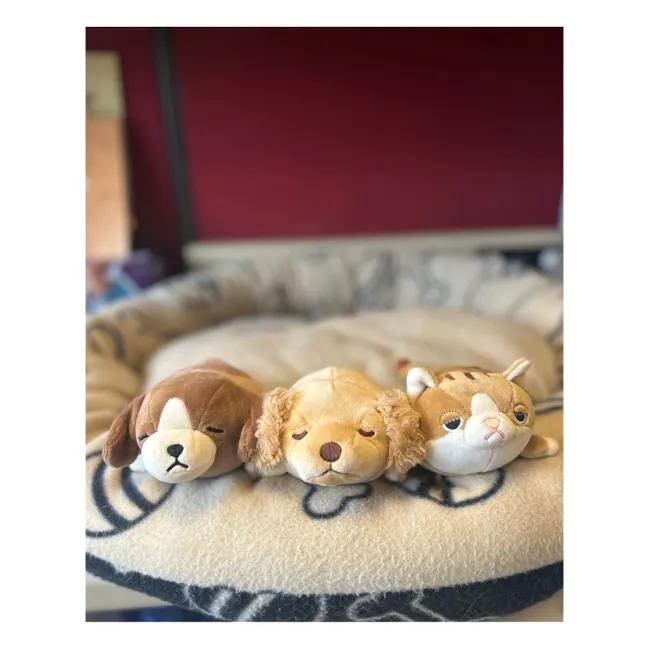 Peluche Vick le Chien Beagle | Brun
