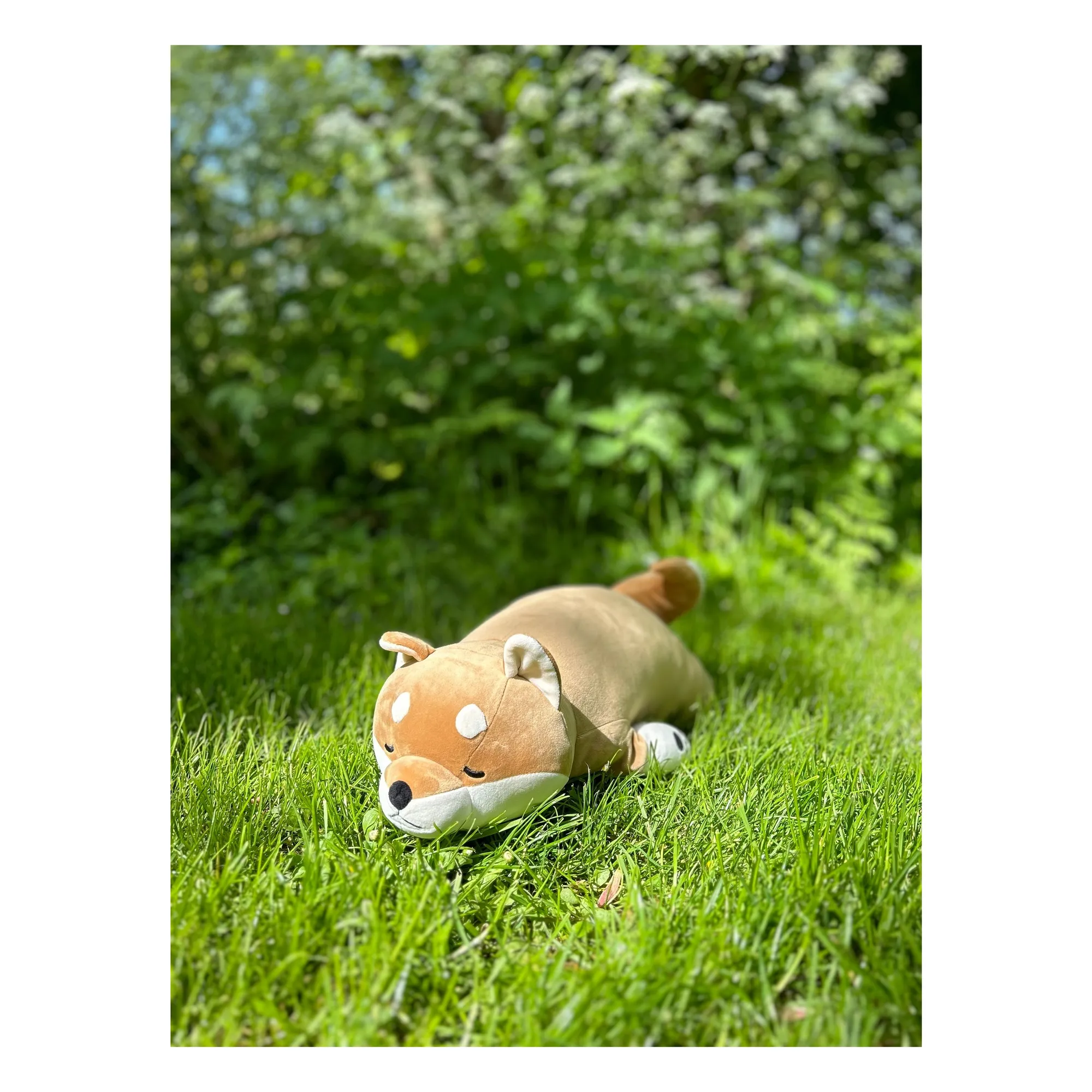 Nemu Nemu - Peluche Kotarou le Chien Shiba (Nemu Nemu) - Image 1