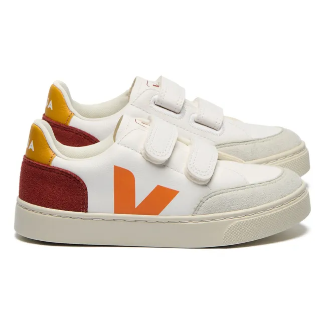 Baskets Scratchs V-12 | Orange