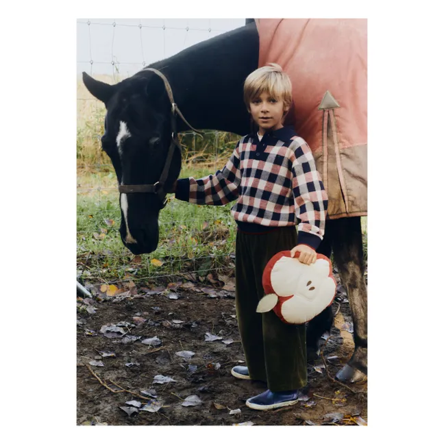 Cuscino di mela | Rosso