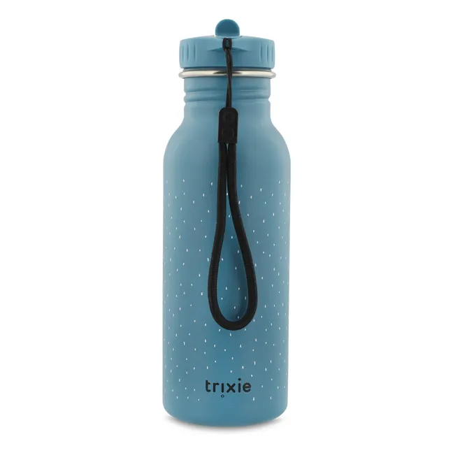 Mr. Triceratops 500ml water bottle