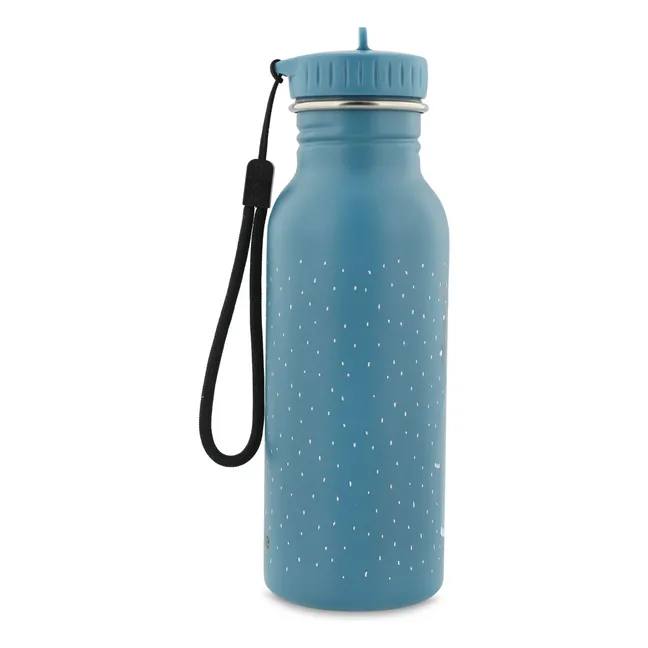 Mr. Triceratops 500ml water bottle