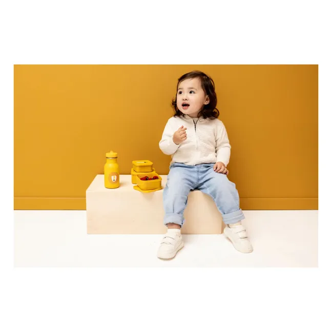 Mr. Lion 3-piece snack boxes