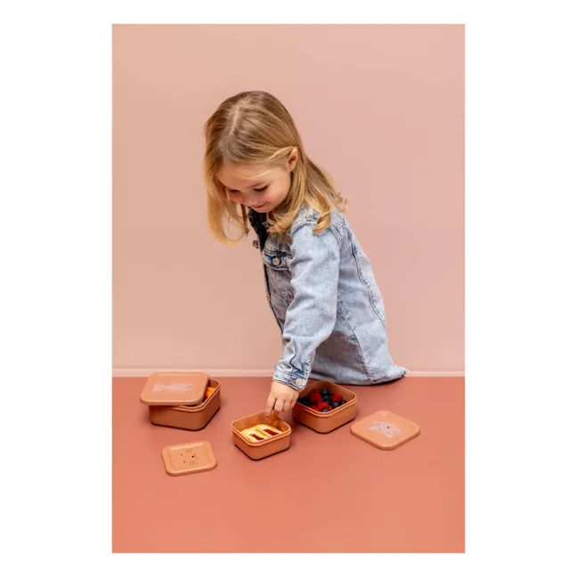 Mrs. Cat 3-piece snack boxes | Pink