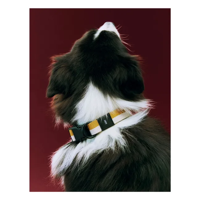 Collier | Off-White