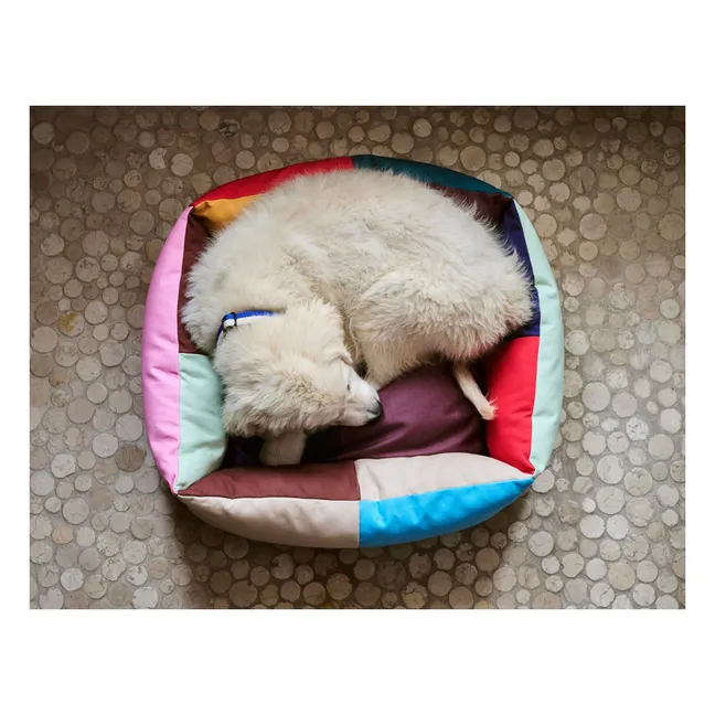 Cama para perro