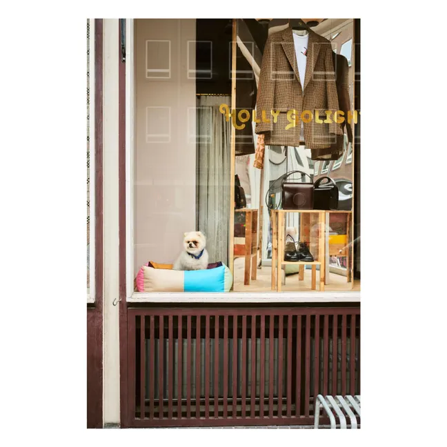 Panier pour chien