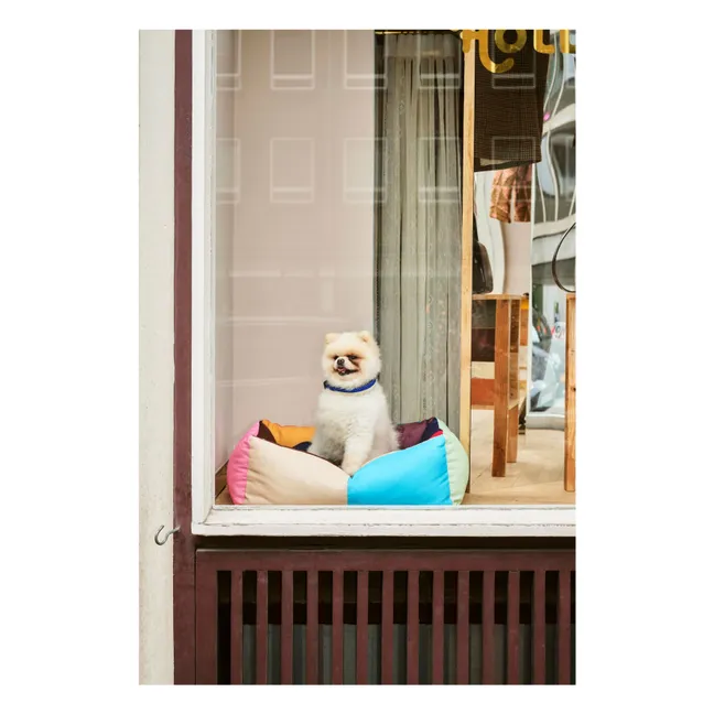 Cama para perro